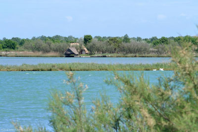 Naturalistic Oasis of Vallevecchia